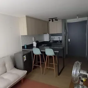 Departamento Santa Lucialindo Depto Con Check Flexible Apartment Santiago