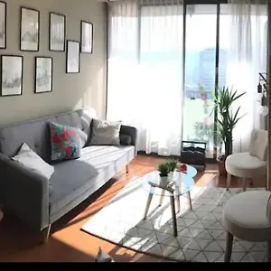 Luminosa Habitacion Con Bano Privado En El Centro De Providencia * Santiago
