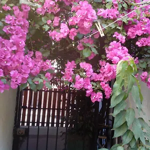 Alojamiento Alberto Magno Bed and breakfast