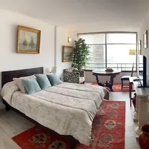 Bien Ubicado Departamento En Providencia Apartment Santiago