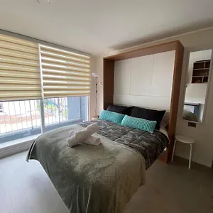 Comodo Departamento En Centro Apartment