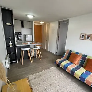 Departamento Renovado Cercano A Parque O'higgins * Santiago