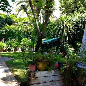 Hostal Casa Muriel *