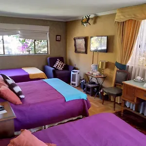 Bed & Breakfast Blumen Haus 2* Santiago